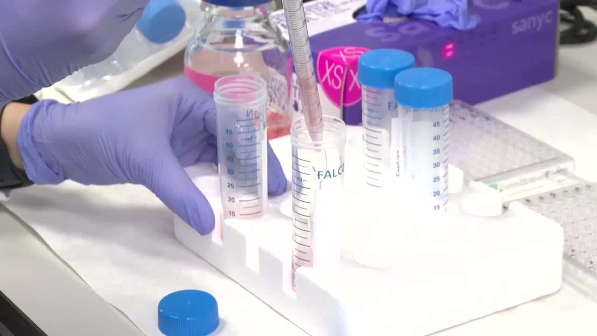 Mujeres rompen barreras en sectores masculinizados: “Nos deberíamos atrever más"