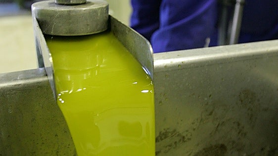 Extremadura plantea suspender la importación de aceite de terceros países por «distorsiones» en el mercado