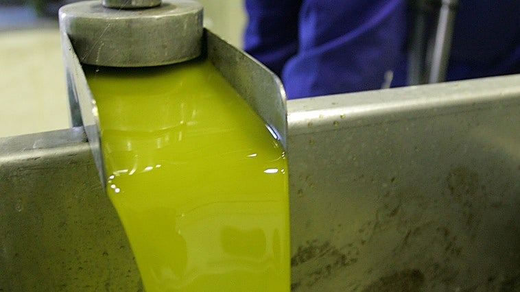 Extremadura plantea suspender la importación de aceite de terceros países por «distorsiones» en el mercado