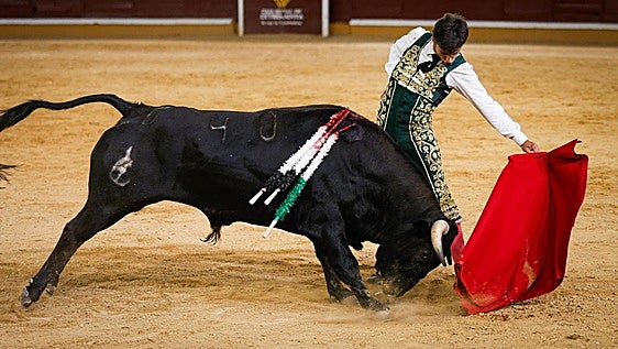Tarde triunfal en la novillada sin caballos de Badajoz