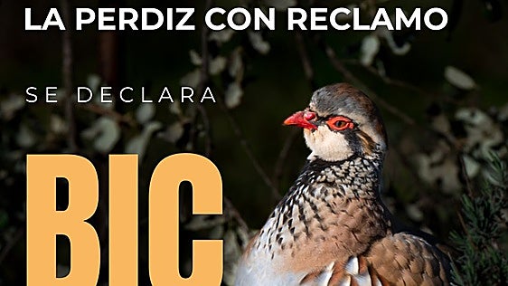 La perdiz con reclamo ya es Bien de Interés Cultural de Extremadura