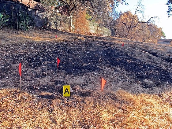 Una desbrozadora fue el origen del incendio de la urbanización pacense de Campo Pino