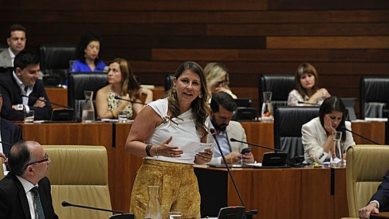 El Gobierno extremeño afirma que analizará los proyectos de universidades privadas «con respeto a la normativa»
