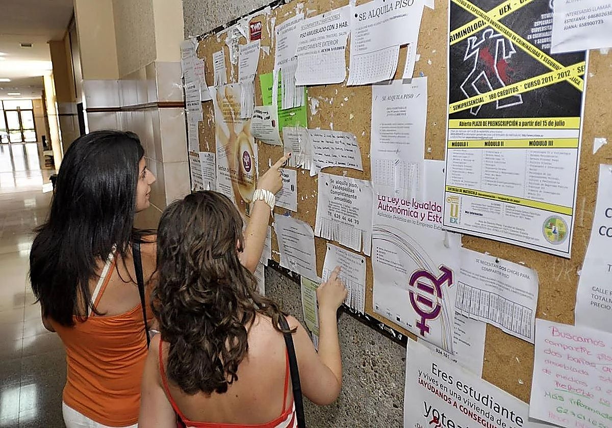 Los universitarios buscan piso a la desesperada: "Pagan mil euros por casas que valían 650" | Hoy