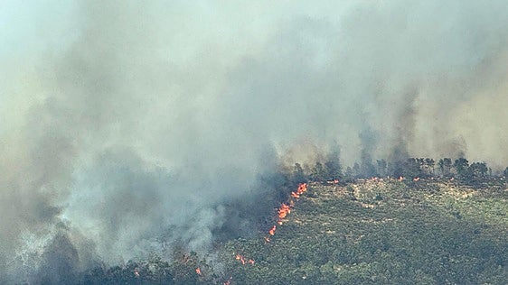 El incendio de Casas de Millán «pierde fuerza» pero mantiene carreteras y vías de tren cortadas