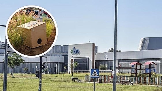 Proyecto pionero en Badajoz: El Faro se convierte en la primera empresa en cuidar de su propia colonia felina