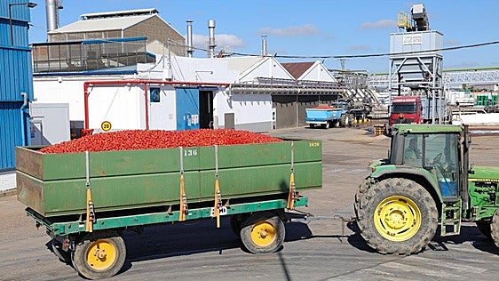 La campaña de transporte de tomate discurre sin incidentes en Extremadura