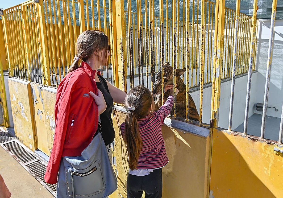 Una familia visita la perrera de Badajoz.