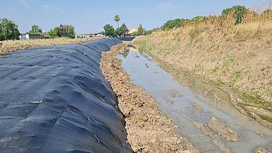 La Confederación del Guadiana elimina una especie invasora en el arroyo de Albarregas