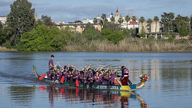 Los piragüistas de Badajoz salen a entrenar a otras localidades por la prohibición de navegar en el Guadiana