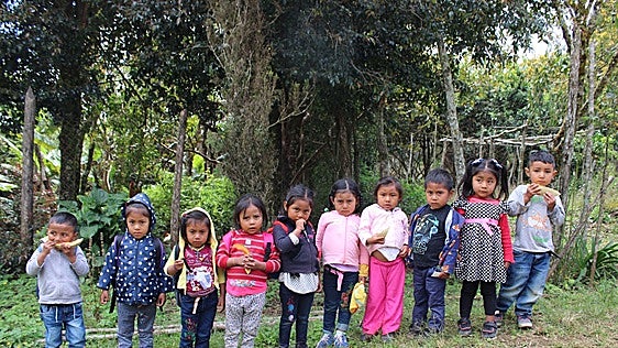 De la educación a la alimentación: estos son los proyectos de cooperación al desarrollo que financia Badajoz