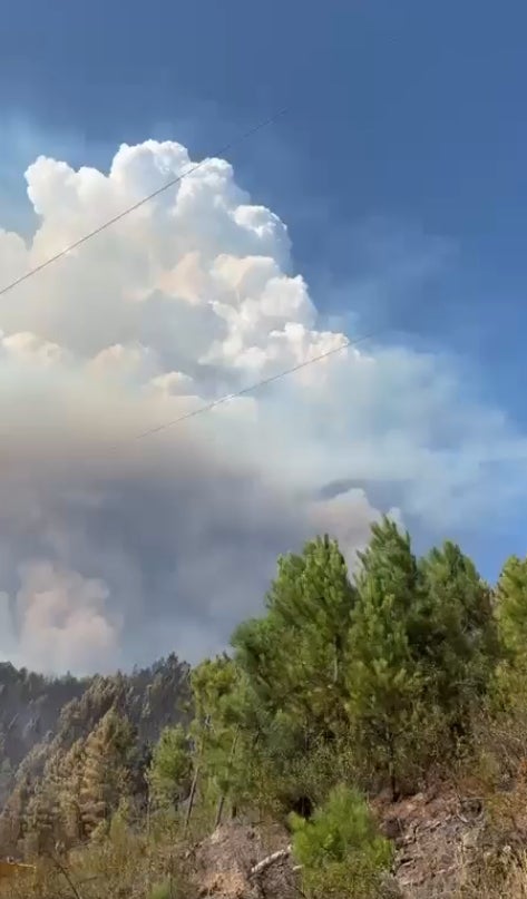 Así se ve el incendio declarado este martes en Pinofranqueado