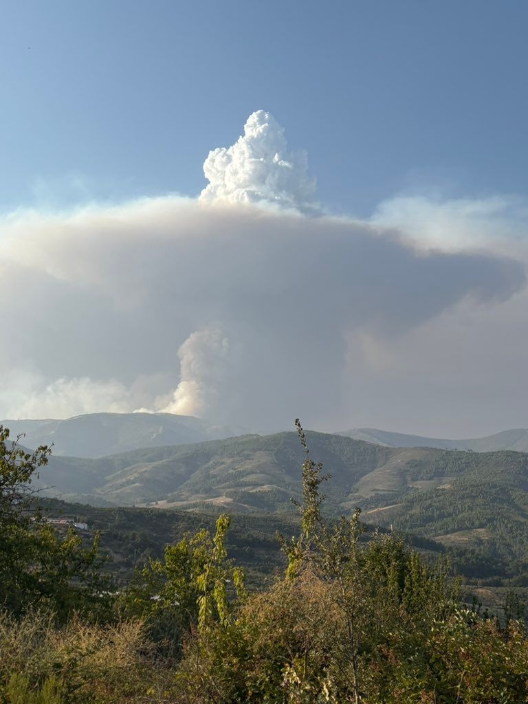 Imagen tomada a las 19.30 horas