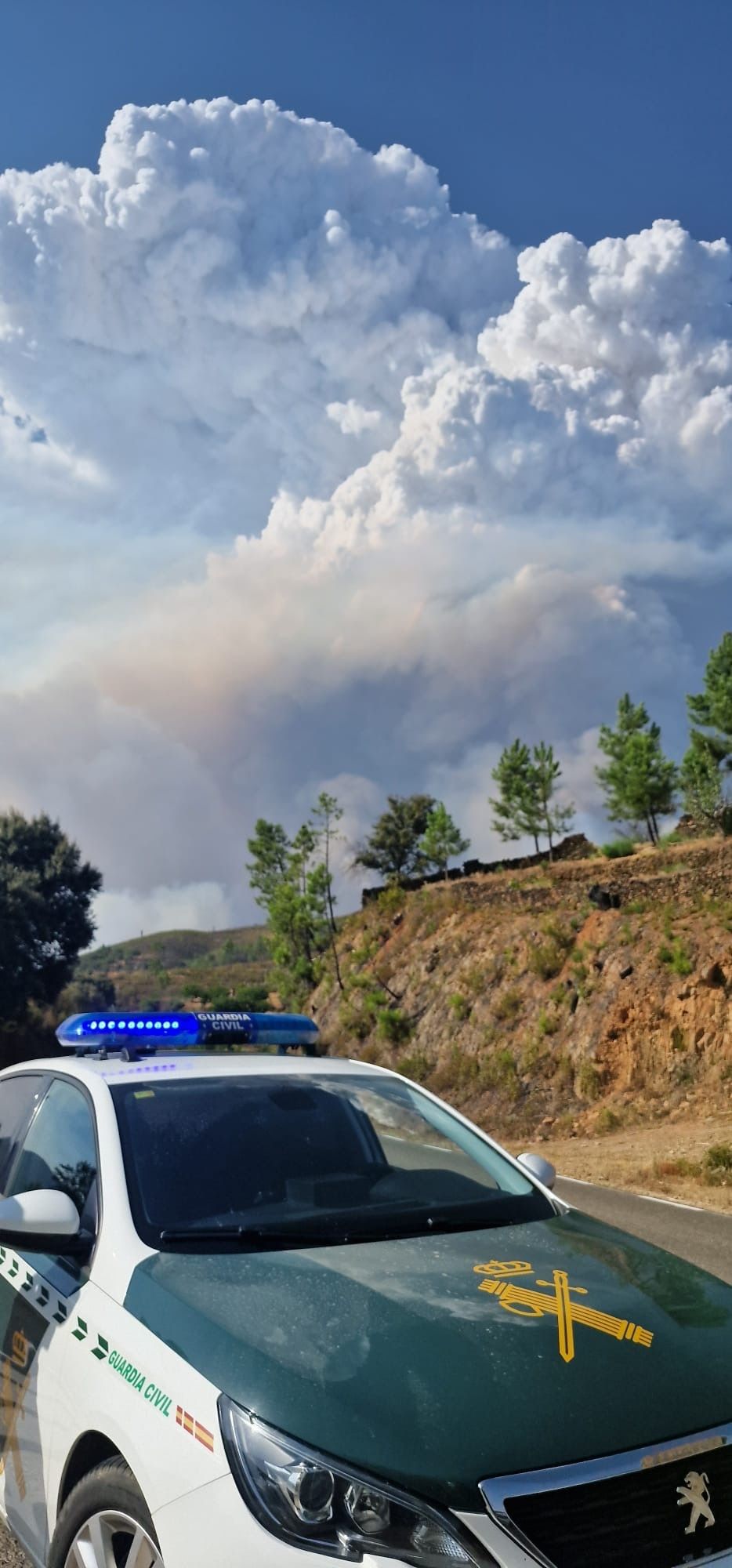 Dispositivo de emergencias en el incendio