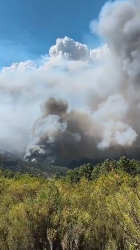 Efectivos trabajando entre las 19 y las 20 horas de este miércoles, con el fuego muy próximo al pueblo de Cerezal.