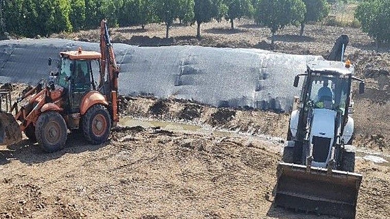 La Confederación culmina la eliminación de la caña común en el arroyo Albarregas en Trujillanos