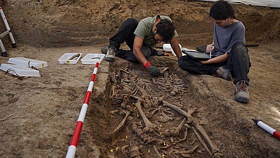 Las exhumaciones en Bodonal de la Sierra recuperan los restos de diez víctimas de la represión franquista