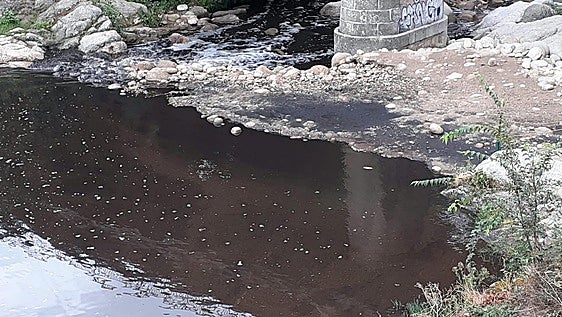 Las cenizas de un incendio en Semana Santa imposibilitan el consumo de agua potable en tres localidades de La Vera