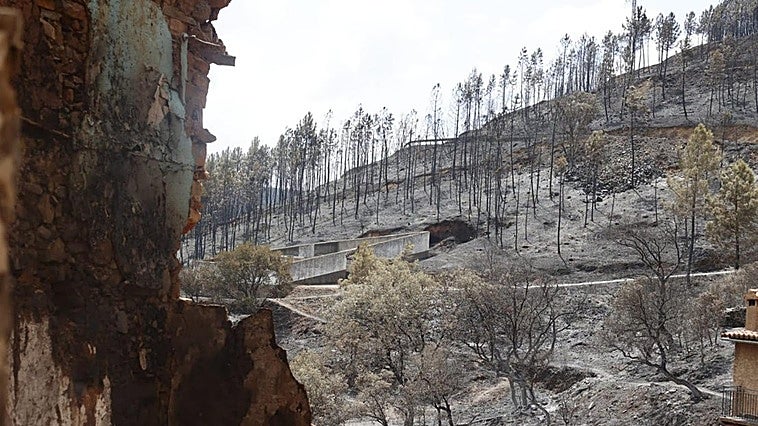 La Junta traslada el Consejo de Gobierno a Las Hurdes para anunciar las ayudas por el incendio de Pinofranqueado