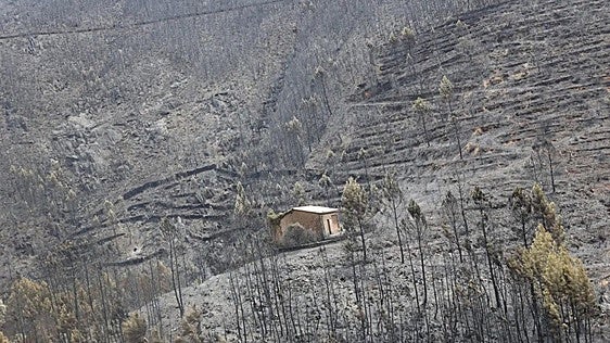 Extremadura reforma su Ley Agraria para prevenir grandes fuegos forestales