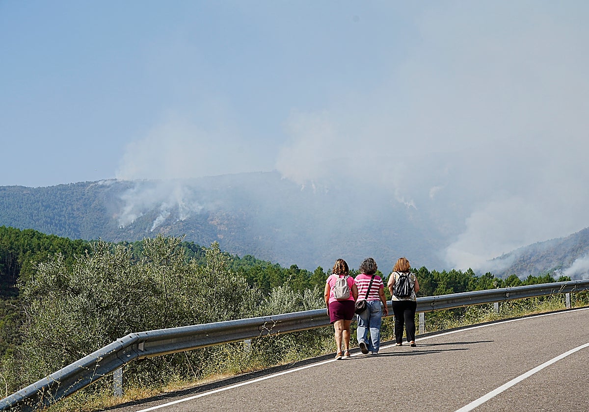 Extremadura reduce un 80% las hectáreas quemadas por los incendios de este verano – Hoy