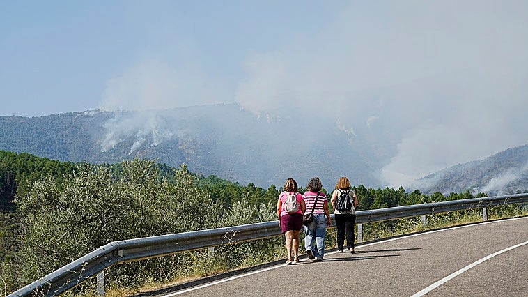 Extremadura reduce un 80% las hectáreas quemadas por los incendios de este verano