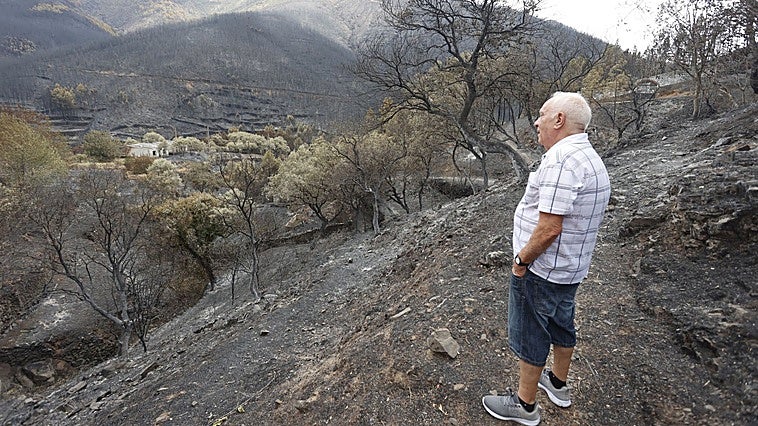 Casi cien alojamientos turísticos y 74 trabajadores del campo cobrarán ayudas por los incendios
