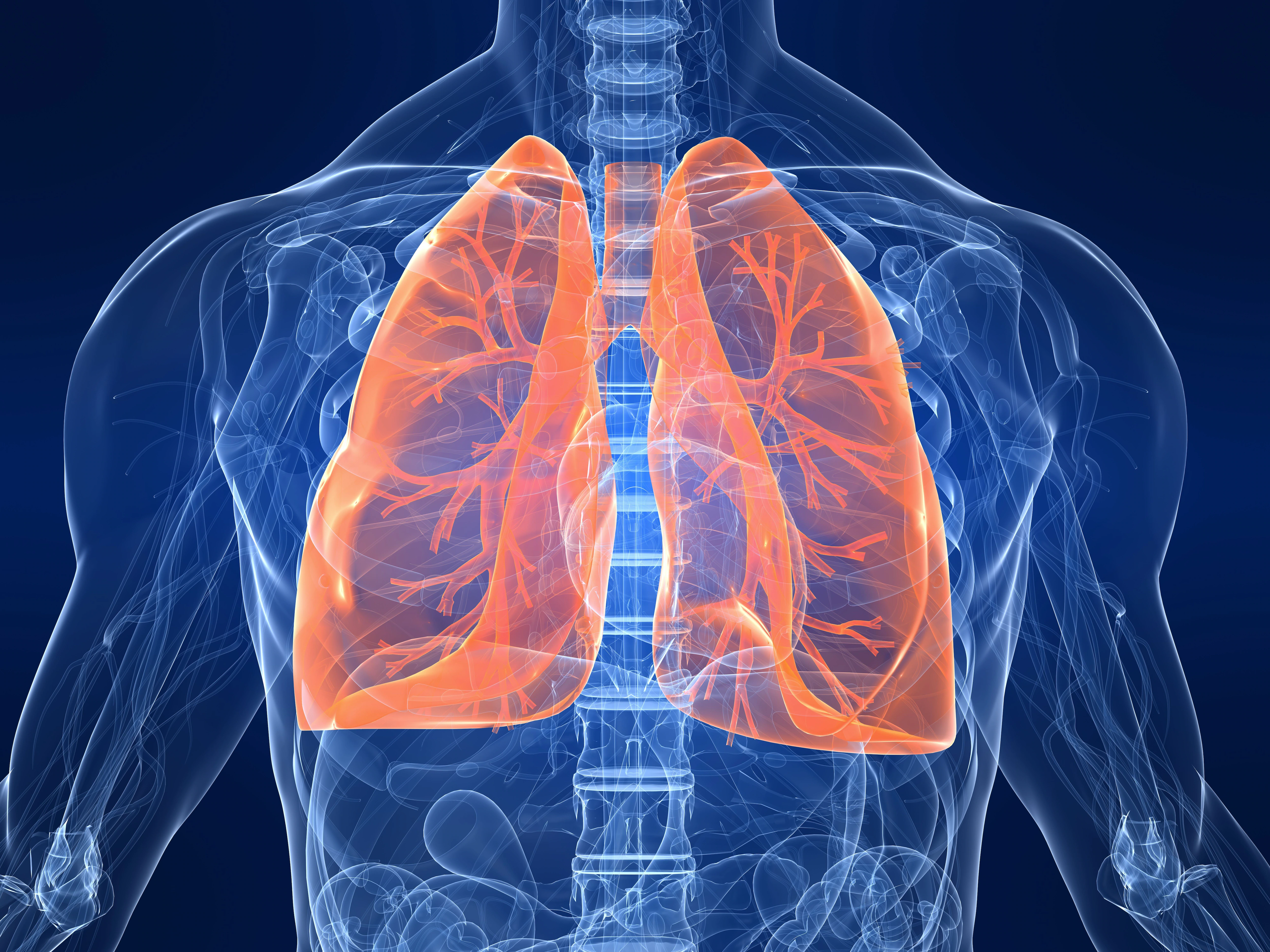 La densitometría detecta alteraciones pulmonares en fumadores asintomáticos