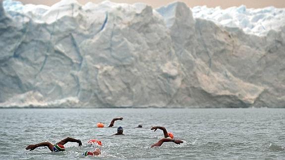 Nadadores de la prueba en las frías aguas del glaciar Perito Moreno. 