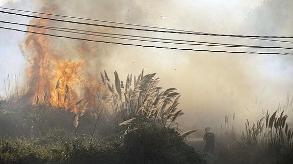 Uno de los incendios desatados este año.