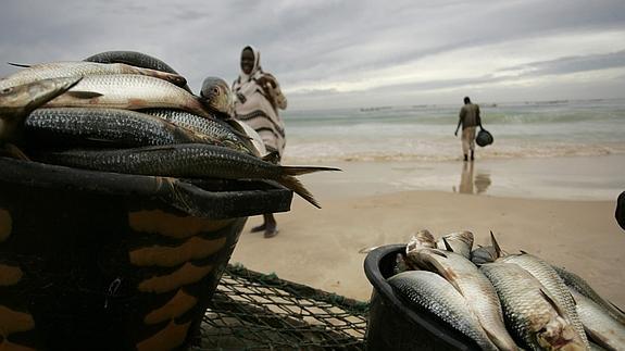 Cubos colmados de sardinas en una playa de Mauritania. 