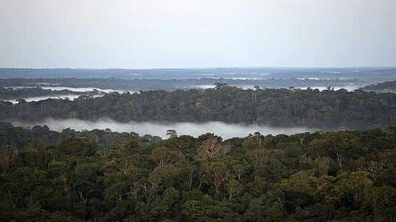 Vista de la Amazonia desde un observatorio en Brasil. 