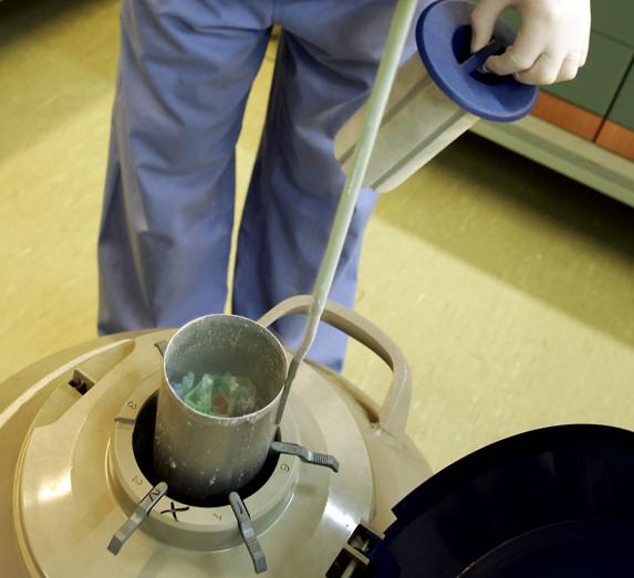 Un médico prepara los óvulos y el esperma para realizar un intento de inseminación artificial.