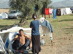 Temporeros acampados la pasada campaña en los alrededores de Arroyo de San Serván. / HOY