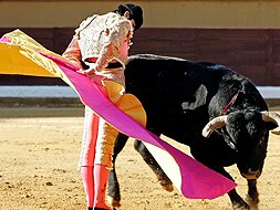 Perera lancea con gusto a uno de sus toros, ayer en Burgos. / EFE