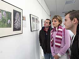 Tres alumnos observan la exposición sobre orquídeas. / MARISA