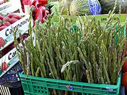 Espárragos a la venta en el mercadillo de Navalmoral de la Mata, al igual que ocurre en otros muchos de la región.|MAM