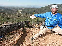 Un técnico de Salud Vegetal de la Junta analiza uno de los árboles talados en la zona afectada por el gusano del pino. / CORDERO