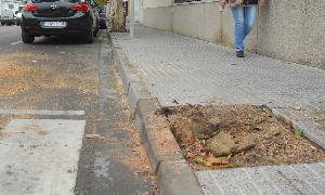 Alcorque donde estaba el árbol que intervinieron los bomberos. / Brígido