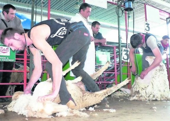 Participantes en el campeonato del año 2012. 