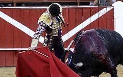 Alejandro Talavante en la corrida televisada de la última feria de Mérida. ::                             BRÍGIDO