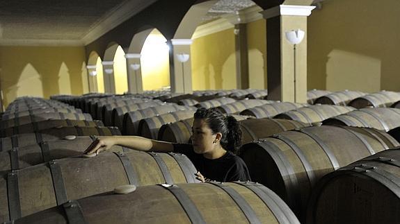 Barricas llenas de vino tiento en una bodega en Almendralejo.