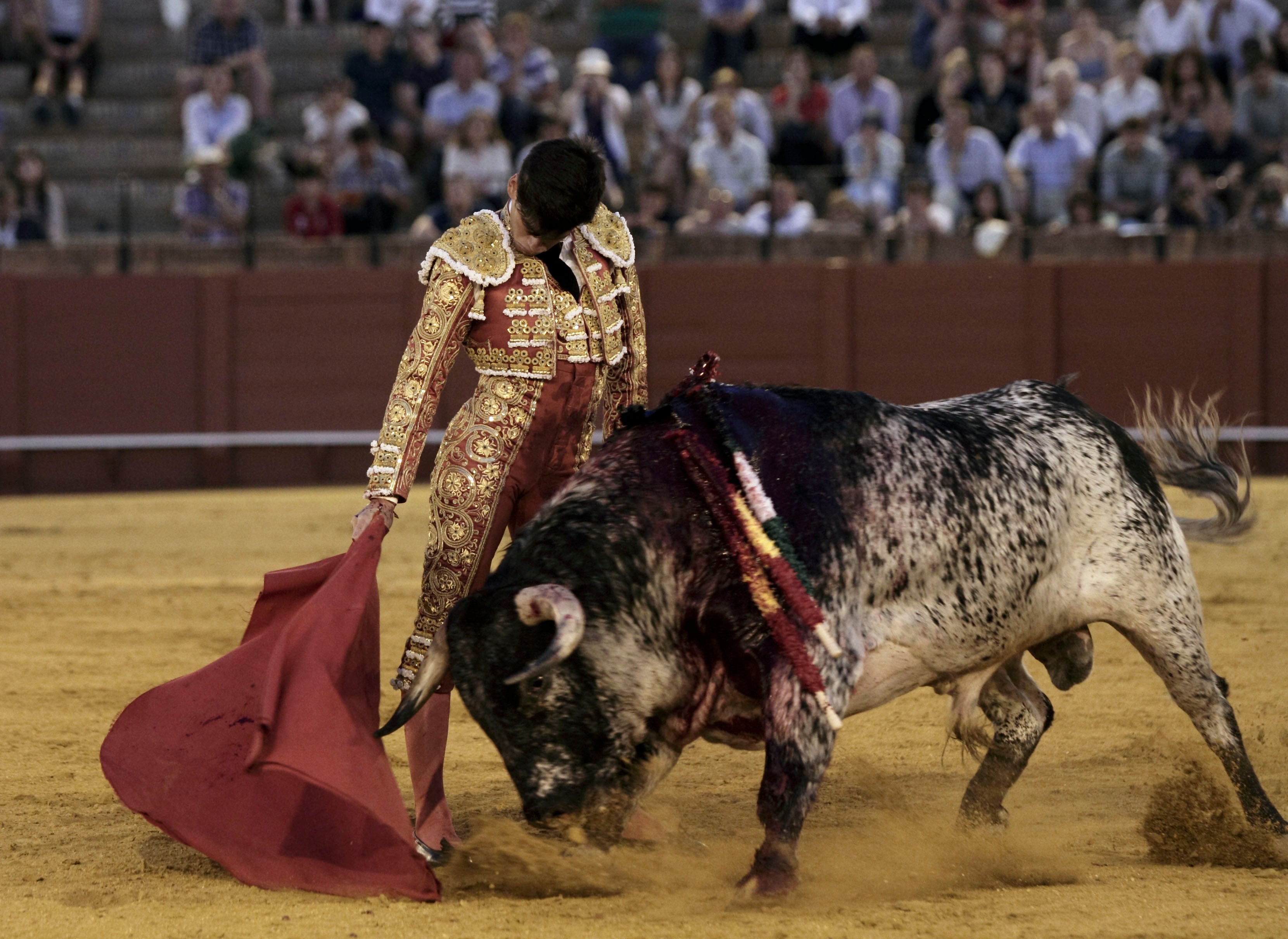 El novillero de Badajoz durante la faena a su segundo. :: juan flores