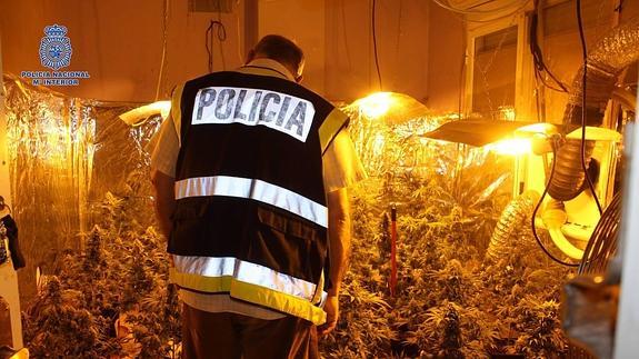 Intervienen 6'5 kilos de marihuana en una vivienda del Gurugú