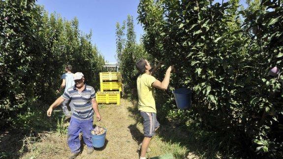 CCOO y UGT rechazan proyecto Ley Agraria por marginar a los trabajadores del campo