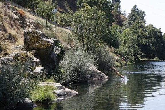 Un bañista se lanza al agua en Navaconcejo. :: hoy