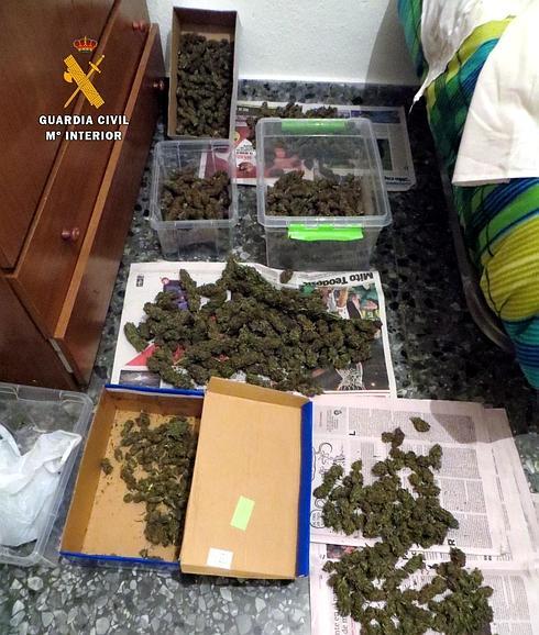 Tres detenidos por cultivo y distribución de marihuana