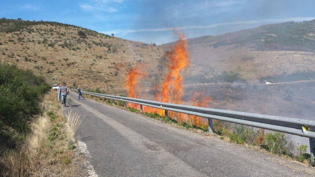 Llamas del incendio visibles desde la carretera. 