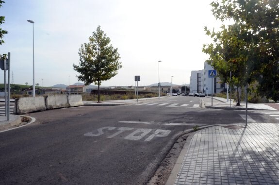 Terrenos de Bodegones Sur en los que deberían replantarse los árboles. :: BRÍGIDO