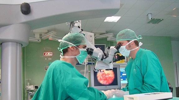 Durante la inyección de embriones en el útero de un ejemplar murino
